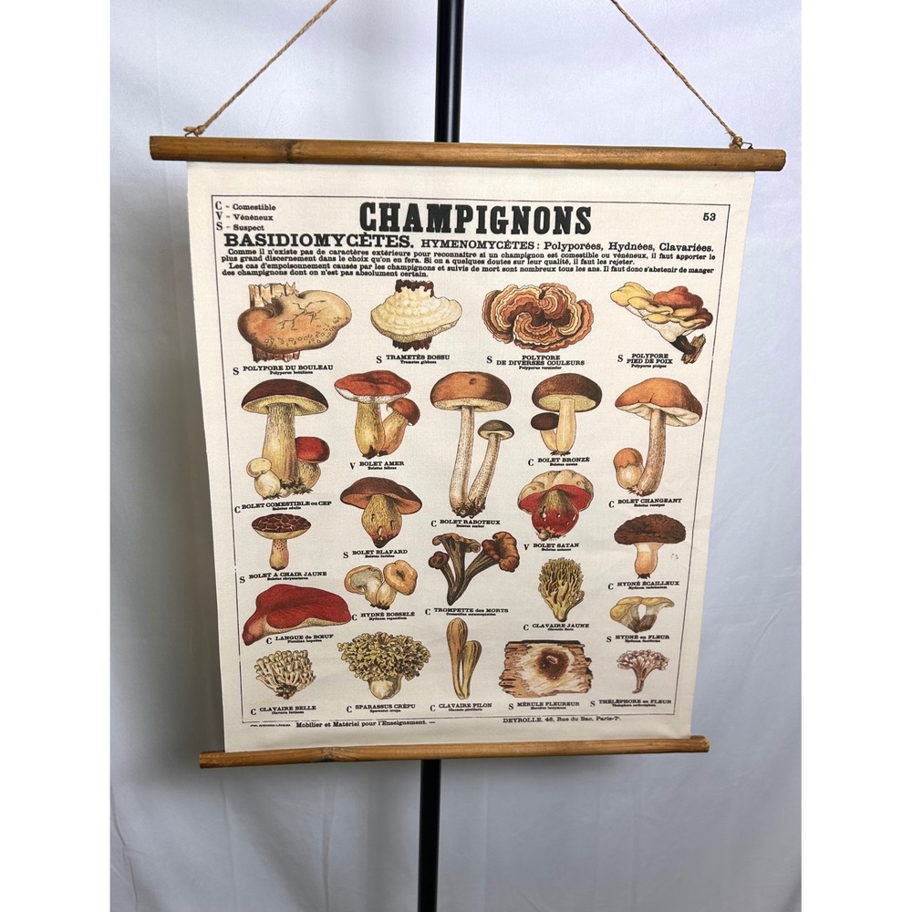 Vintage French Mushroom Botanical Scroll Wall Hanging Canvas Fungi Chart Art